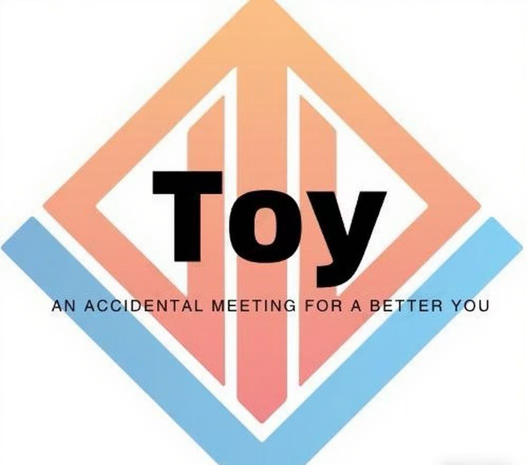 Toy